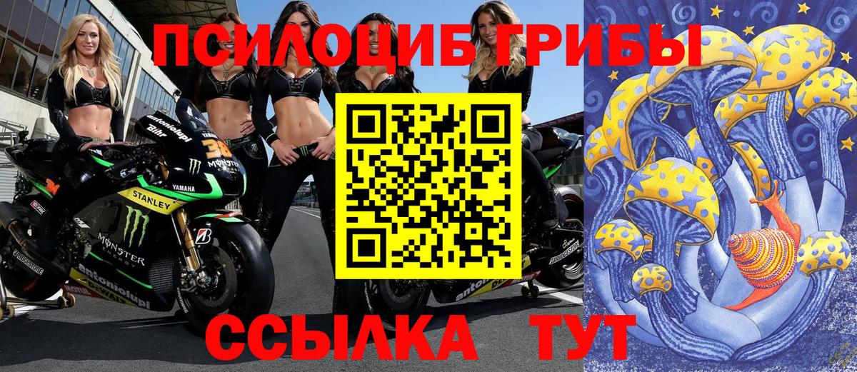 Галлюциногенные грибы MAGIC MUSHROOMS  Вход с VPN  Псилоцибиновые грибы Magic Shrooms  Корсаков 